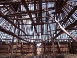 Traditional Bure, Vatukarasa Village, Fiji Photographic Print by David Wall