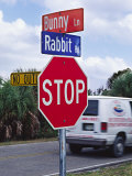 Intersection Sign on Sanibel Island, Florida, USA Photographic Print by Charles Sleicher