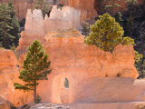 Hoodoos along the Peekaboo Loop Trail, Bryce Canyon National Park, Utah, USA Photographic Print by Jamie & Judy Wild