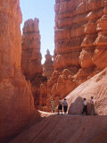 Tourists Walking in Bryce Canyon National Park, Utah, USA Photographic Print by Charles Sleicher
