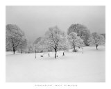 Prospect Park Trees Prints by Henri Silberman