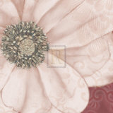 Grandiflora V Prints by Linda Wood