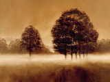 Misty Meadow Prints by Alan Parker