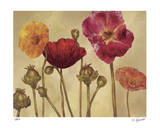 Springs Perfection I Limited Edition by Elise Remender