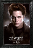 Twilight Prints