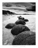 Otago Coast, New Zealand Poster von Monte Nagler