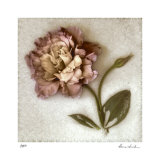 Sand Lisianthus Limited Edition by Donna Geissler