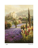 Campos de lavanda Edición limitada por Roberto Lombardi Campos de lavanda Edición limitada por Roberto Lombardi