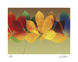 Leaf Dance II Limited Edition by Robert Mertens