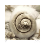 Iridescent Seashell I Edición limitada por Donna Geissler