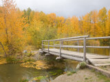 Autumn Color at Easton Ponds with Trail, Wenatchee National Forest, Washington, USA Photographic Print by Jamie & Judy Wild