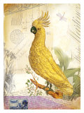 Parrot Giclee Print