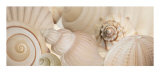 Shells I Art by Jan Lens
