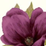 Grandiflora Blush II Posters by Linda Wood
