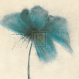 Floral Burst I Prints by Emma Forrester
