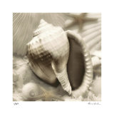 Iridescent Seashell II Edición limitada por Donna Geissler