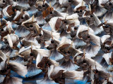 Beijing Olympics Opening Ceremony, Performers Dancing, Beijing, China Photographic Print