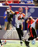 Carson Palmer Photo
