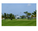 Gasparilla Clubhouse Photographic Print by Florene Welebny