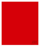 08206 Rot 01 Photographic Print by andreas kovar