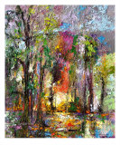 Georgia Okefenokee Sunset Nature Reserve Photographic Print by Ginette Callaway
