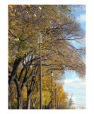 Washington Dc Fall Season Photographic Print by William Luo