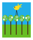 Treetop Bird Photographic Print by Jen Kennedy
