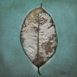 Beauty in Blue II Prints by Patricia Quintero-Pinto