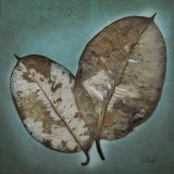 Beauty in Blue I Poster by Patricia Quintero-Pinto