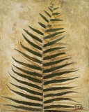 Ferns III Prints by Patricia Quintero-Pinto