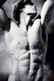 Adonis Plakater