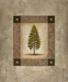 European Pine I Prints by Michael Marcon