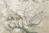 Almond Branches in Bloom, San Remy, c.1890 (tan)  Prints by Vincent van Gogh