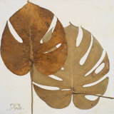Dry Balazo II Prints by Patricia Quintero-Pinto