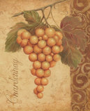 Grapevine II Prints by Daphne Brissonnet