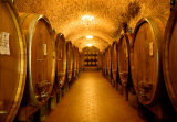 Chianti Classico Láminas por Shelley Lake Chianti Classico Láminas por Shelley Lake