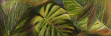 Green for Ever II Prints by Patricia Quintero-Pinto