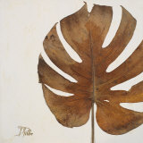 Dry Balazo I Prints by Patricia Quintero-Pinto