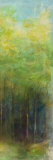 Trees II Prints by Steve Kuzma