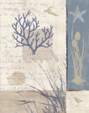 Rivage II Affiches par Lisa Audit