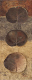 Eco-logic II Prints by Patricia Quintero-Pinto