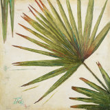 Organic II Prints by Patricia Quintero-Pinto