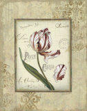 Romantic Letters II Láminas por Lisa Audit Romantic Letters II Láminas por Lisa Audit