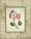 Romantic Letters I Lámina por Lisa Audit