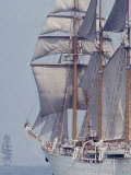 Operation Sail in New York Harbor Lámina fotográfica por John Loengard Operation Sail in New York Harbor Lámina fotográfica por John Loengard