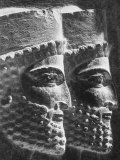 Ancient Art of Footmen to Cyrus the Great Fotografisk trykk av Carlo Bavagnoli