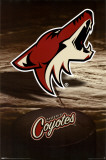 Phoenix Coyotes Posters