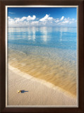 Starfish Prints by Peter Cade