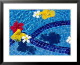 Tropical Flowers in Royal Westmoreland Pool, St James  Poster by Holger Leue