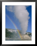 A rainbow forms during an eruption of Castle Geyser Poster by Norbert Rosing